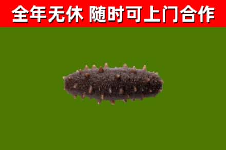 庄浪烟酒回收干海参.jpg